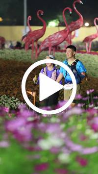 BIB:  <button type="button" onclick="openModal(27590966)" class="btn btn-primary btn-sm float-right" data-toggle="modal" data-target=".modal-high-quality">
                <i class="fa fa-download"></i> Download
                </button>